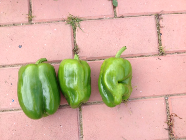 image_6.jpeg