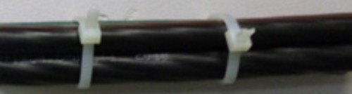 0_1470170374709_image.jpeg