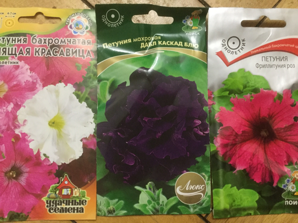 0_1487186887457_IMG_0672.PNG