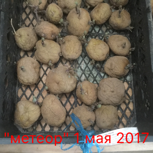 0_1493662806703_IMG_1472.PNG