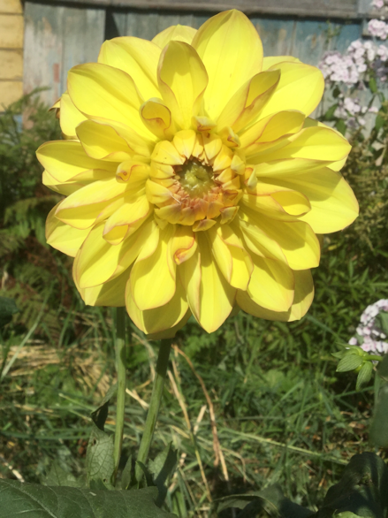 0_1503228682401_IMG_2073.PNG