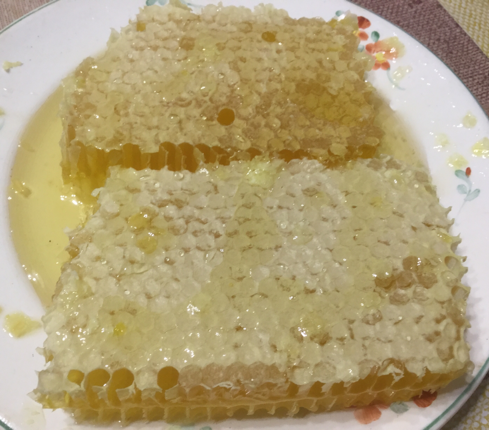 0_1505019673720_IMG_2174.PNG