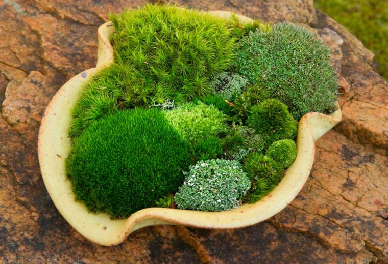 0_1507708110297_garden-designs-with-stones-and-moss.jpg