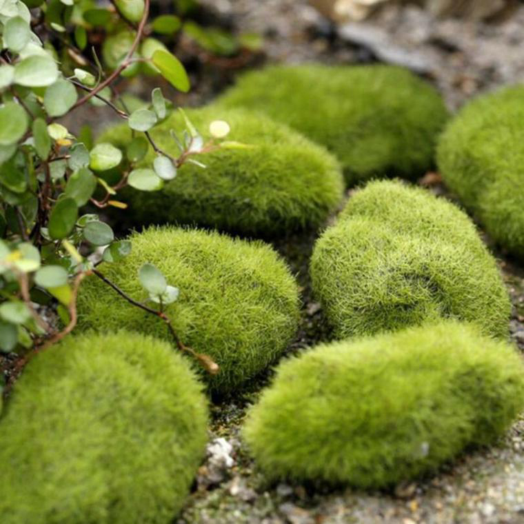 0_1507708122700_ideas-to-decorate-a-moss-garden.jpg