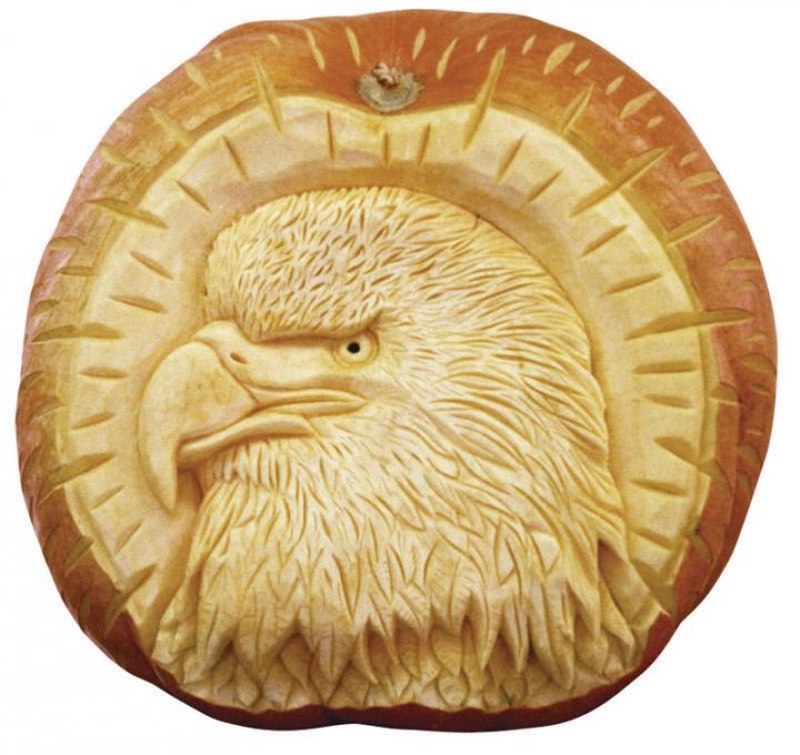 0_1509108114036_eagle.jpg
