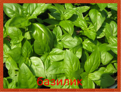 0_1510401749838_IMG_2288.PNG