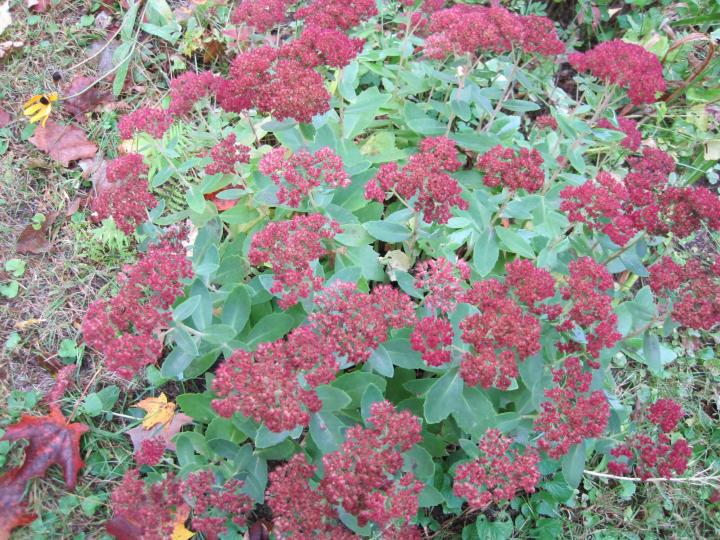 0_1510899322851_winter_interest_012_full_width.jpg