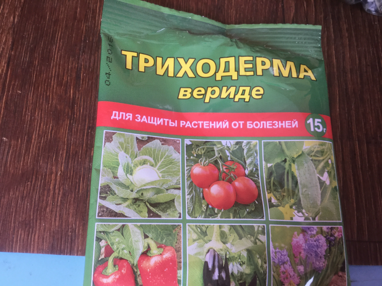 0_1563732199291_BBC3FBD2-D984-4110-98FD-70D43F612045.jpeg