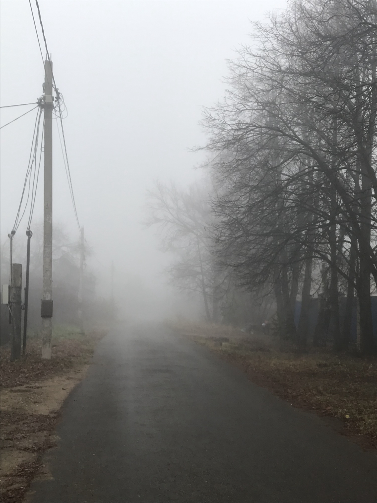 0_1635832209895_EA0E5307-6F9B-410D-BBCD-2FD03CD32CF2.jpeg