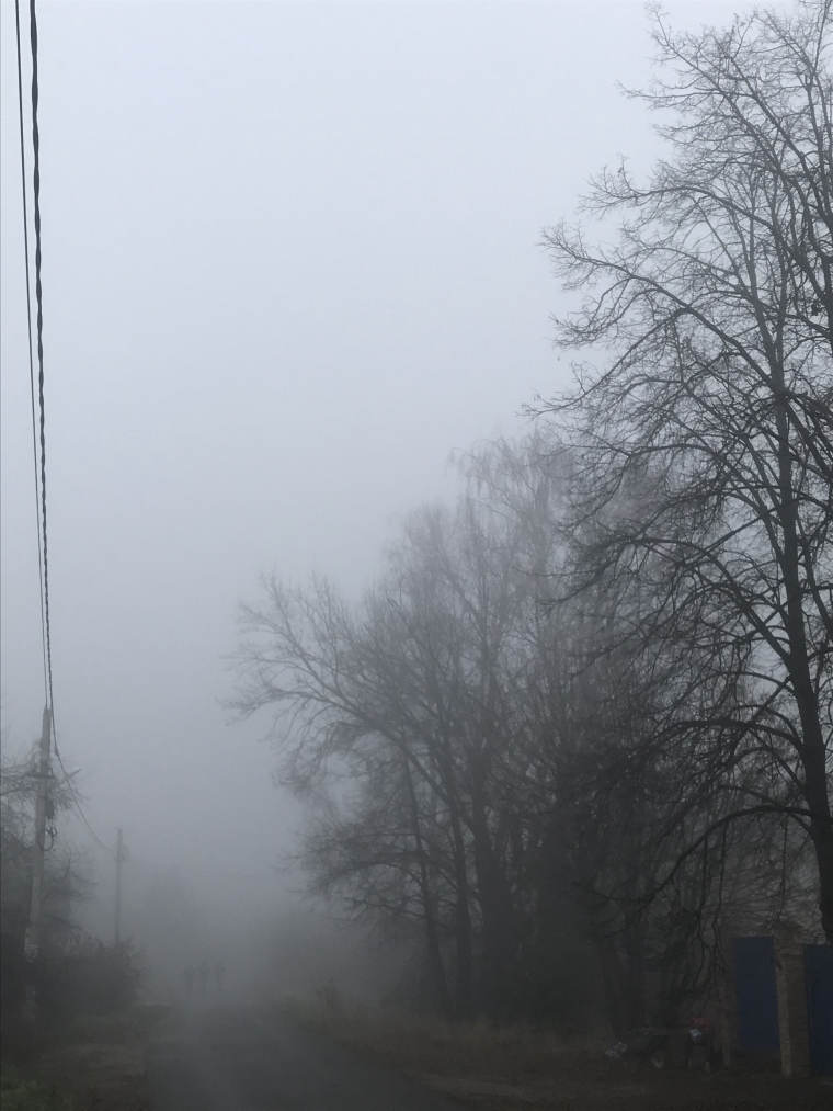2_1635832209896_3484848C-10CC-42F9-8DE5-DB0D61548861.jpeg