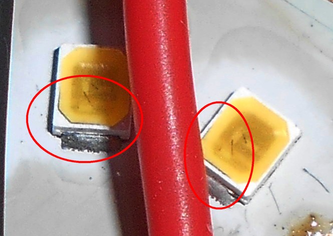 0_1646287459490_DSCN6146_cr_cr.jpg